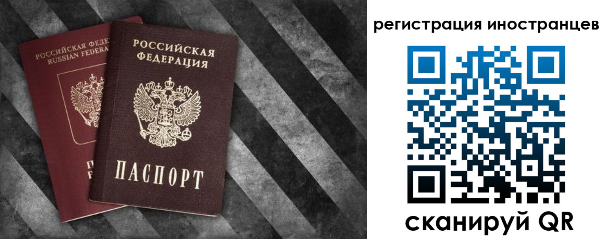 прописка для школы в Мурино